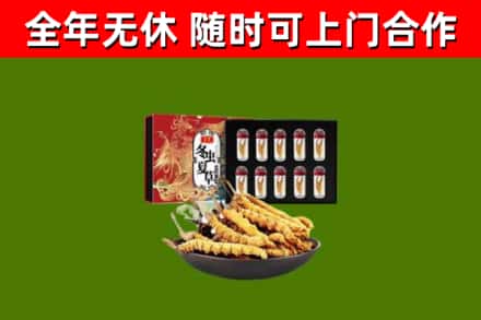梅州市回收冬虫夏草价格